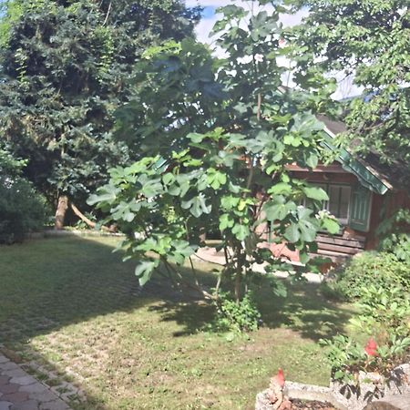 Ganzes Haus Mit Almcharakter Villa Lieserbrücke Exterior foto